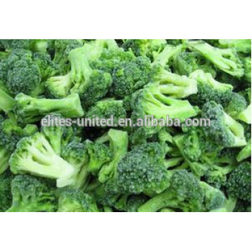 Chinese cultivation IQF frozen vegetable broccoli